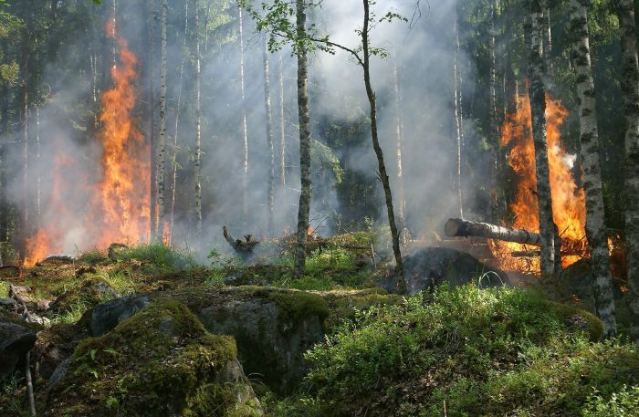 Пожароопасный сезон в Югре начнется с 22 апреля