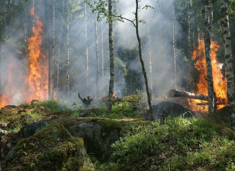 Пожароопасный сезон в Югре начнется с 22 апреля