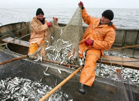 Рыбалка только на берегу с удочкой: на водоемах Югры начался весенний нерест