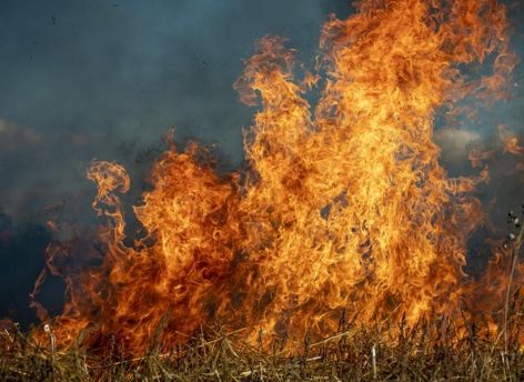 ​Количество ландшафтных пожаров в ХМАО выросло до четырех