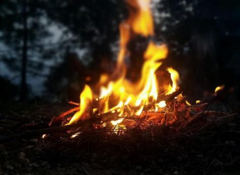 Особый противопожарный режим действует в Белоярском районе
