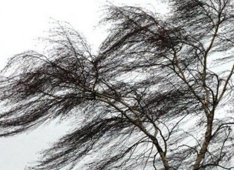 Лето в Сургуте начнется с ветра