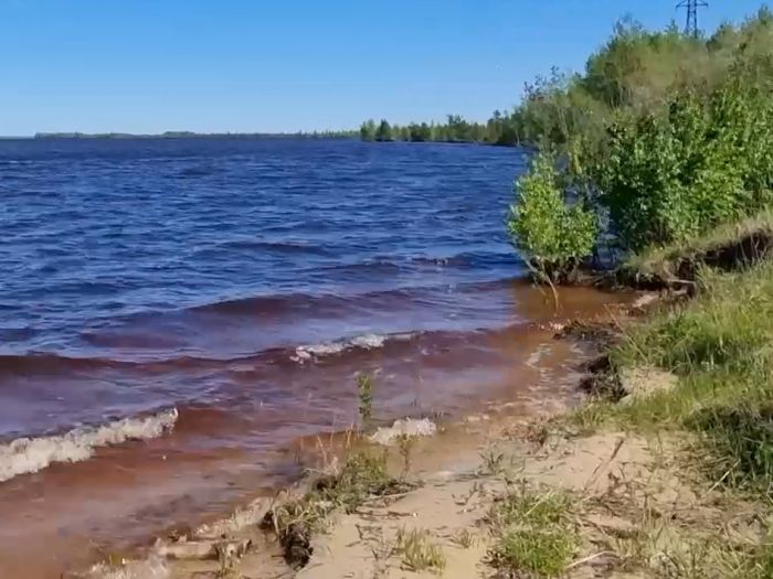 В Сургутском районе едва не утонули двое братьев
