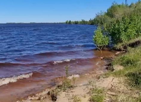 В Сургутском районе едва не утонули двое братьев