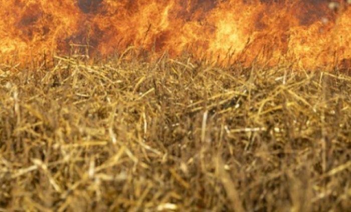 В Нижневартовском районе горят 70 гектаров леса