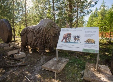 На «Барсовой горе» проходит первый этап благоустройства