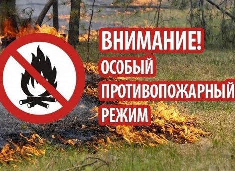 В Югре ввели особый противопожарный режим. Какие запреты он несет?