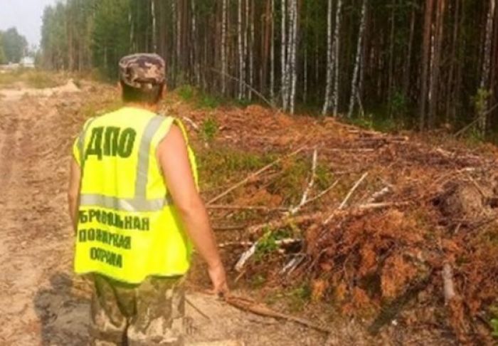 В югорском городе проводят патрули из-за лесных пожаров