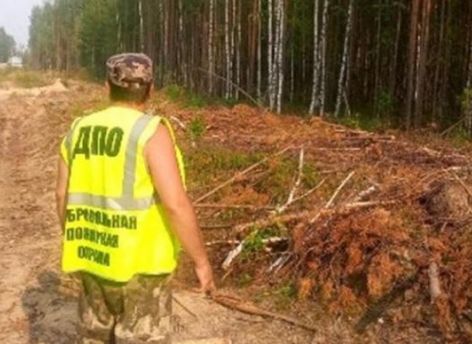 В югорском городе проводят патрули из-за лесных пожаров