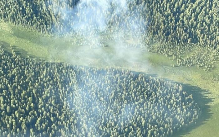 Площадь лесных пожаров в Югре превысила 120 тысяч гектаров