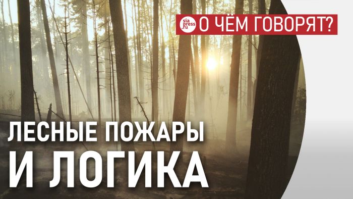 ​У федеральной власти в отношении пожаров простая логика: сегодня леса горят, завтра их потушит дождь, беспокоиться не о чем