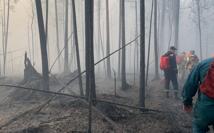 В ХМАО снимают режим ЧС, введенный из-за горящих лесов