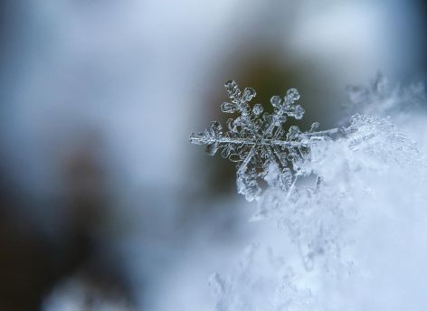 Держись, Сургут, холода отступят. Ненадолго