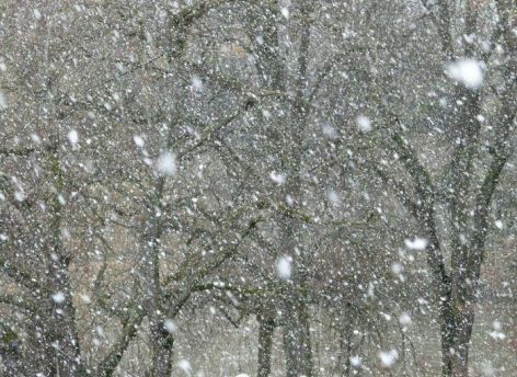 Югорских автомобилистов просят отказаться от дальних поездок