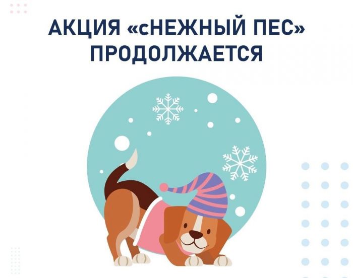 Югорчан приглашают присоединиться к акции «сНежный пес»