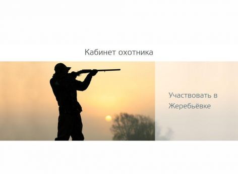 ​У тюменских охотников появляется больше онлайн-возможностей