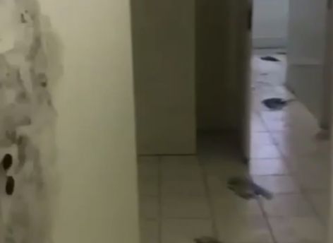 ​Наша база