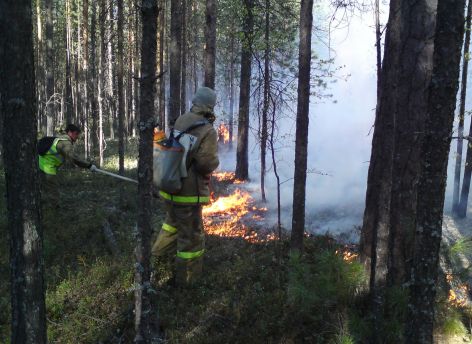 ​Югра готова пройти пожароопасный период во всеоружии