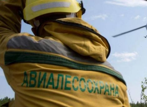 ​В Югре борются с лесным и природным пожарами