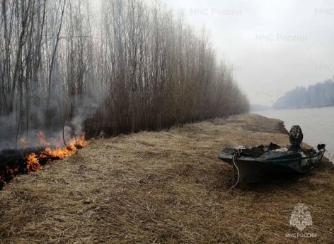 ​Гасили огонь котелками, черпаками. В Березовском районе спасли лес от пожара