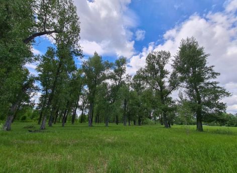 Власти Нижневартовска объяснили запах гари и дымку в городе