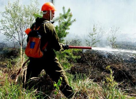 В Кондинском районе ХМАО тушат 6 лесных пожаров