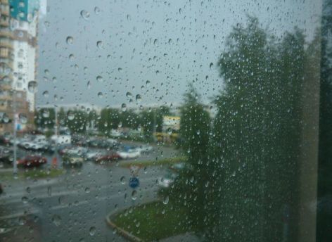 Дожди — надолго. В Сургуте установится пасмурная погода