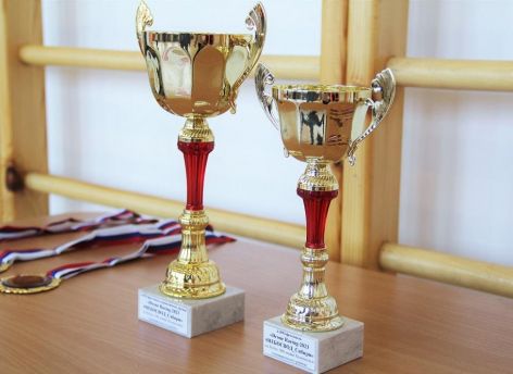 Фестиваль дронов прошел в Тюменском районе