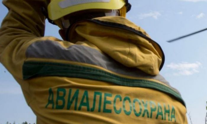 ​7 лесных пожаров потушили в ХМАО за неделю