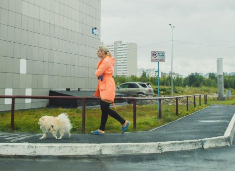 В Сургуте установят специальные урны для собачьих экскрементов