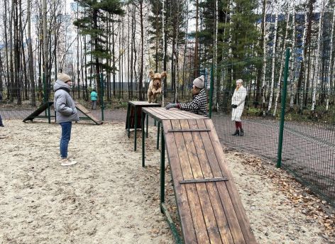 В Сургуте появилась новая площадка для выгула собак