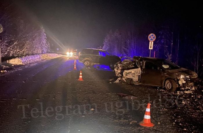 На югорской трассе в ДТП на встречке погиб водитель Kia