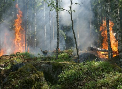 В Югре – пожароопасный период. Что это значит для жителей и гостей округа