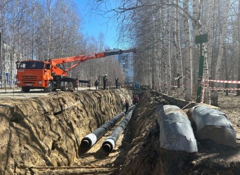 Инициатива концессионера позволит сократить вырубку деревьев в парке Победы Нижневартовска