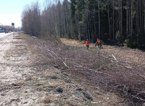 ​Власти ХМАО объяснили вырубку деревьев и кустарников рядом с реконструируемой трассой