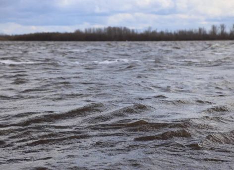 Уровень воды в Оби поднялся на 4 см за сутки
