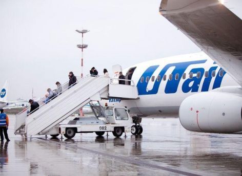 Прокуратура начала проверку из-за гибели кошки в самолете Utair