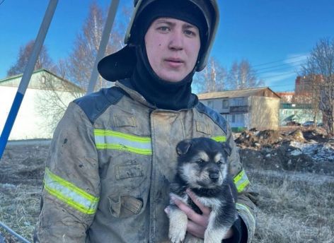 Пожарный из ХМАО спас щенка из горящего дома