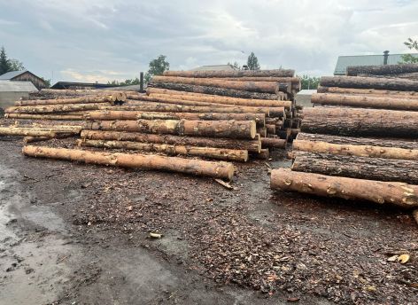 В Тюменской области накрыли канал контрабанды на 850 кубометров леса