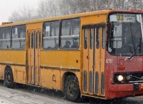 Топ-5 самых теплых автобусов СССР // ОБЗОР СИА-ПРЕСС