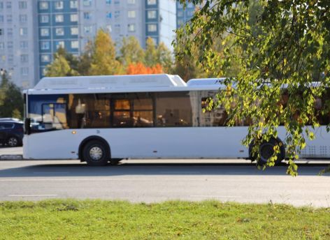 Девять новых автобусных маршрутов появятся в Нижневартовске