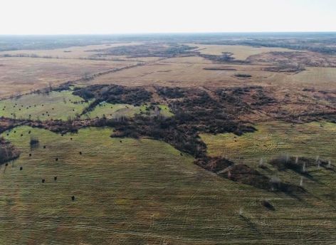 Районы Тюменской области предлагают перспективные площадки для бизнеса