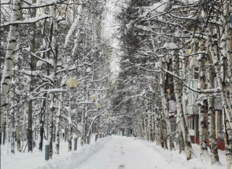 В Нижневартовске сделают бульвар в стиле Арбата за 87 миллионов рублей