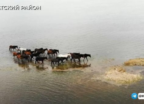 Паводок в Тюменской области: уровень воды в Абатском районе растет, спасатели помогают людям и животным