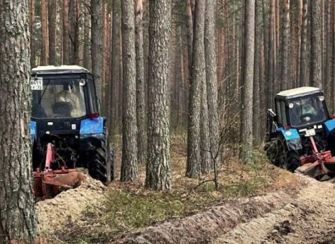 Тюменская область усиливает защиту лесов: создано более 1500 км противопожарных полос