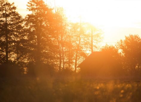 В начале недели Югру ждут грозы и температура до +32°C 