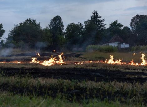 В Югре ситуация с лесными пожарами и паводками остаётся стабильной