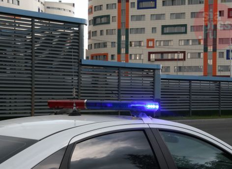 Полицейские Сургута нашли водителя, который сбил собаку на Университетской