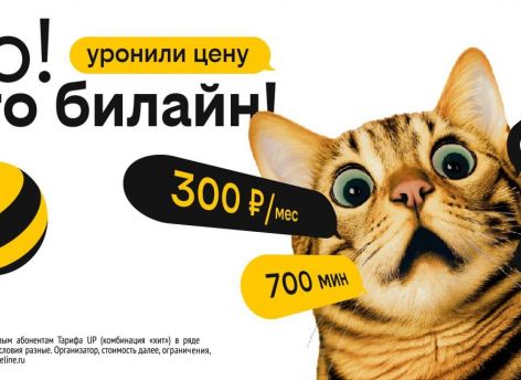 Билайн снизил цены для жителей Сургута при новом подключении