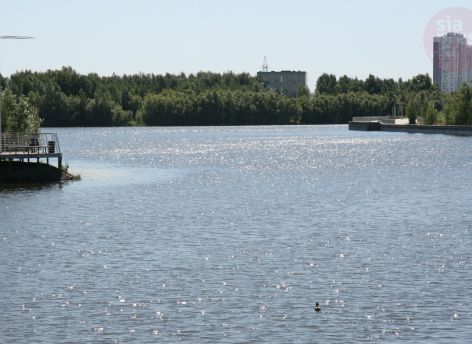 Сайму в Сургуте очистят, но не скоро: проект запланирован через пять лет